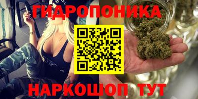 jwh Канаш