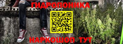 ECSTASY Кандалакша