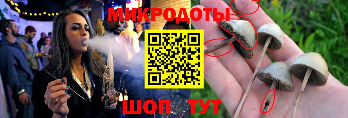 Карачаевск  Галлюциногенные грибы ЛСД  Галлюциногенные грибы Cubensis  Вход с VPN 